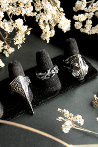 Spike Ring Set