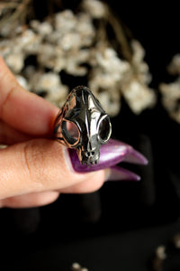 Spike Ring Set