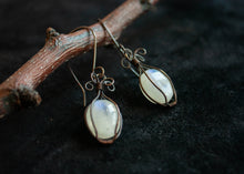 Load image into Gallery viewer, Cage Moonstone Earrings
