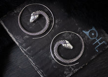 Load image into Gallery viewer, Spiral Boidae Earrings
