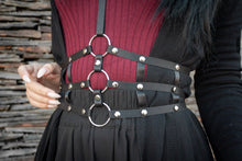 Load image into Gallery viewer, Bloodlust  Harness

